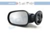 DACIA 6001546991 Outside Mirror